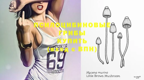 бутират Бородино