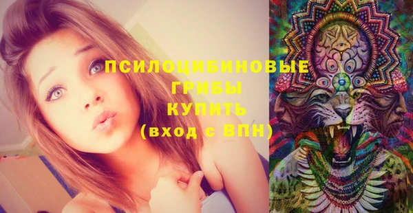 а пвп мука Бугульма