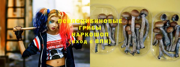 а пвп мука Бугульма